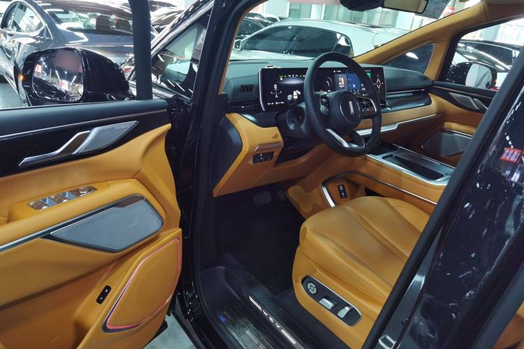 Used Wey Gaoshan 2023 Four-Wheel-Drive Executive Extended Version
