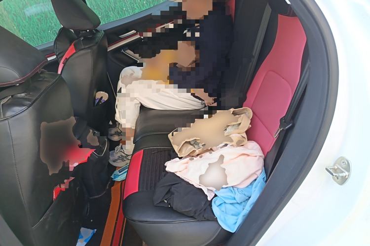 Used Haval H4 2019 1.5 GDIT DCT Elite Smart Connectivity Version China VI