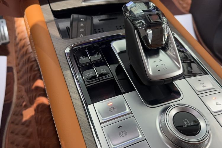 Used Tank 500 New Energy 2025 Hi4-Z Gear Lever