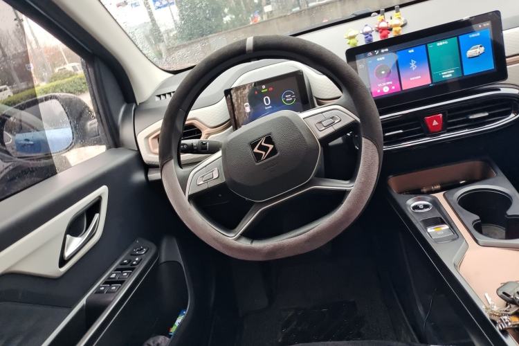 Used SOL E10X 2022 Flower Fairy Design Four-Leaf Clover
