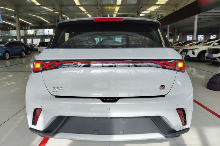 Used BYD Dolphin 2021 405 km Free Version Rear