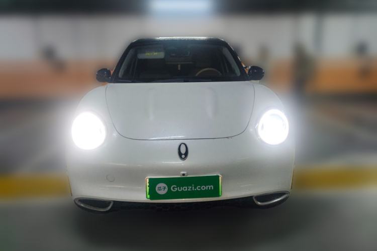 Used ORA Good Cat 2024 401 km Luxury Version
