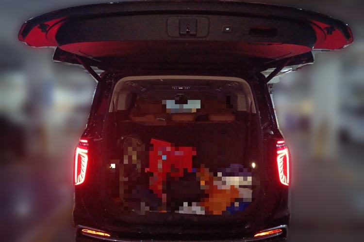 Used Hongqi HQ9 PHEV 2024 2.0T Four-Wheel Drive Business Edition