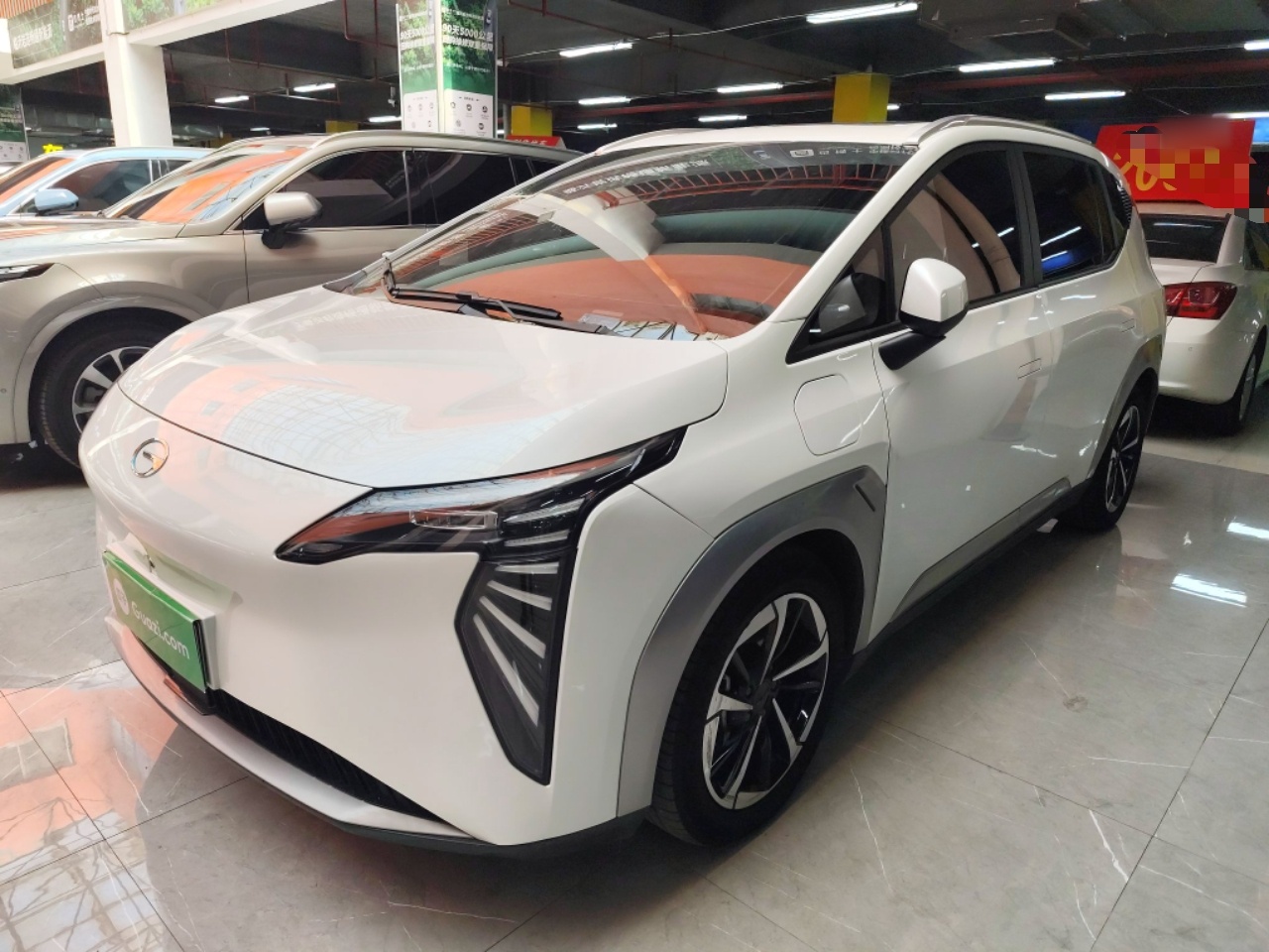 Parte inferior delantera