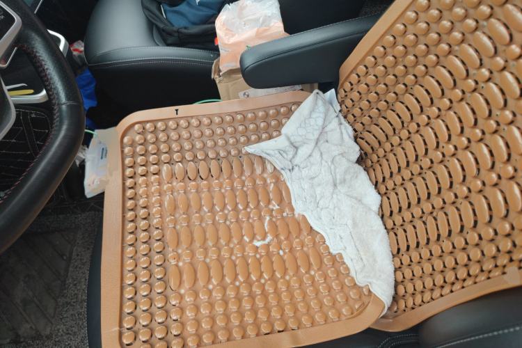 Used NETA V 2021 Long-Range Entertainment Edition Upgrade Model