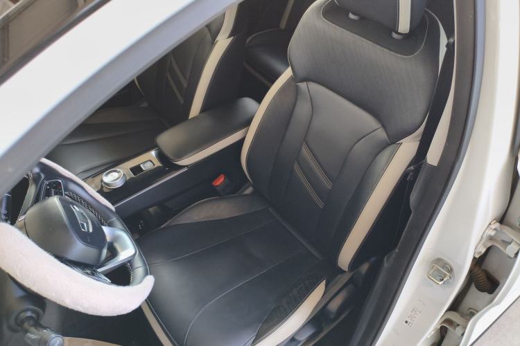 Used Geometry E Firefly 2022 401KM Lightning Tiger 4-Seater
