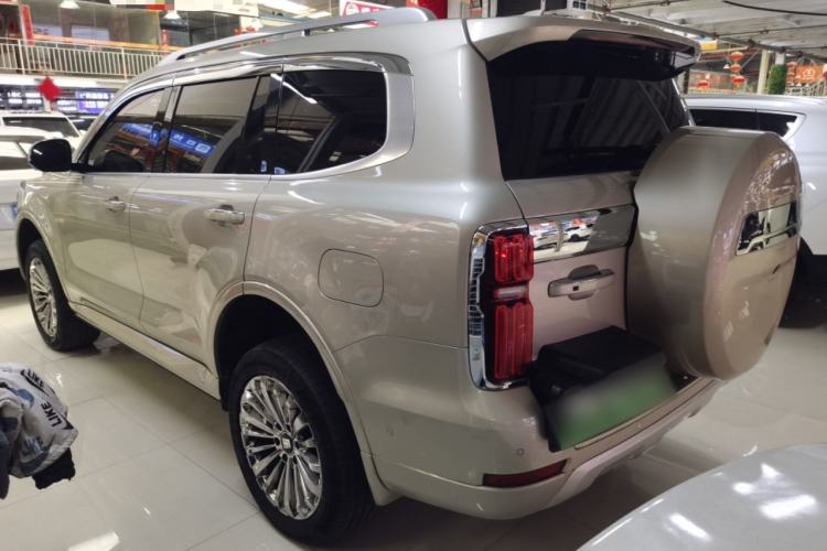 Used Tank 500 New Energy 2023 Hi4-T
