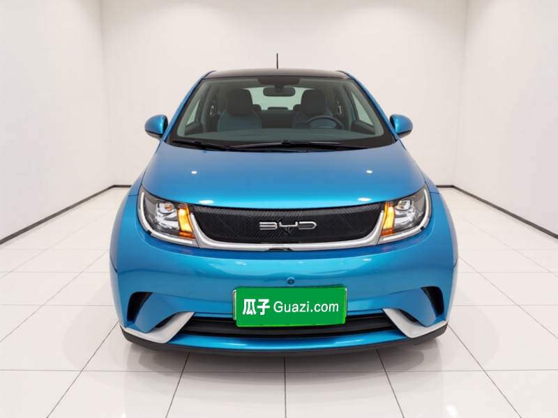 Used BYD Dolphin 2021 405 km Fashion Edition — 2
