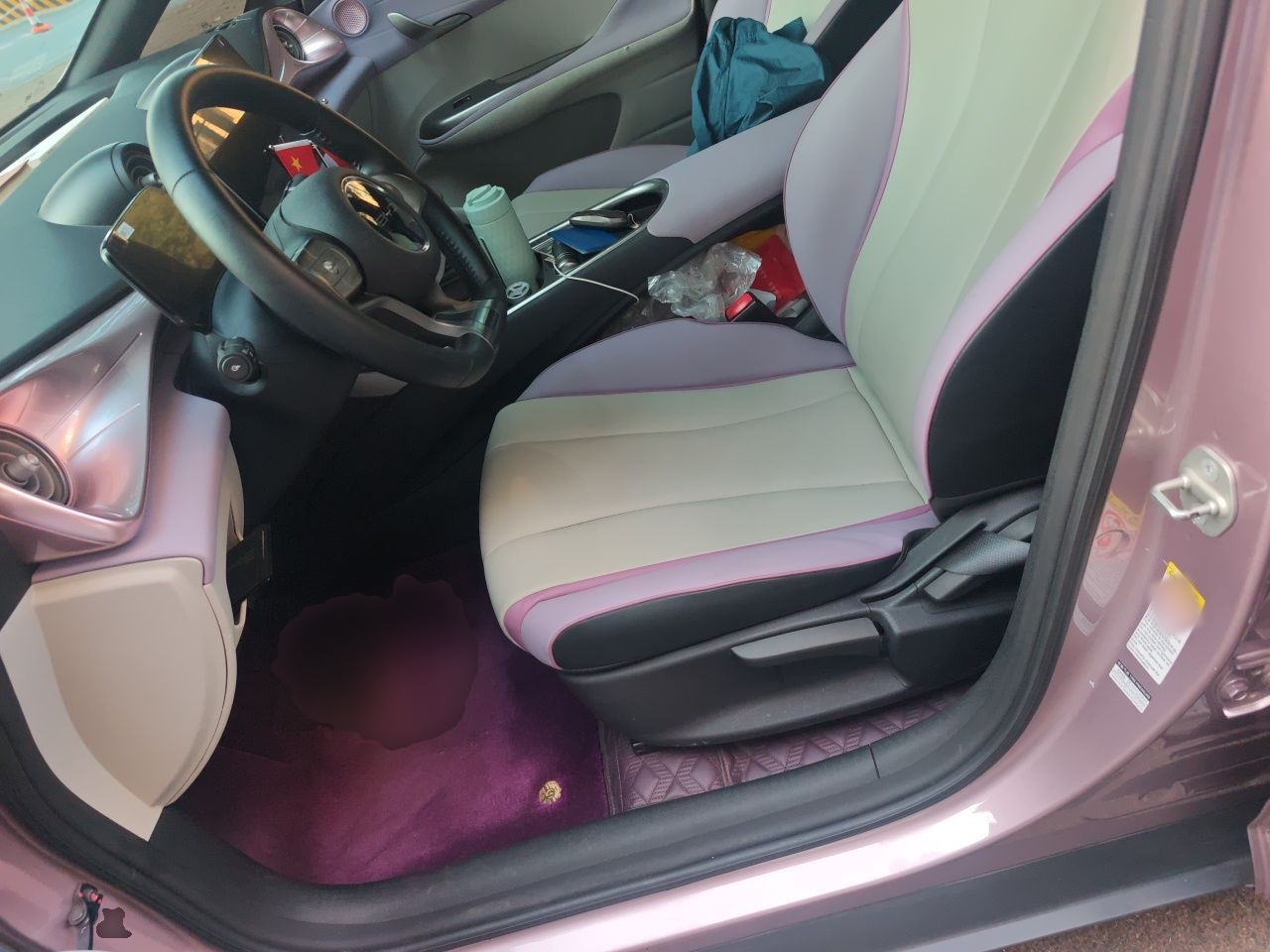BYD Dolphin 2021 405 km Free Version — снимка 15