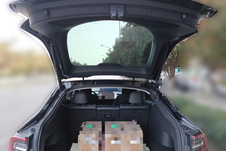 Used Tesla Model Y 2021 Standard Range Rear-Wheel Drive Version
