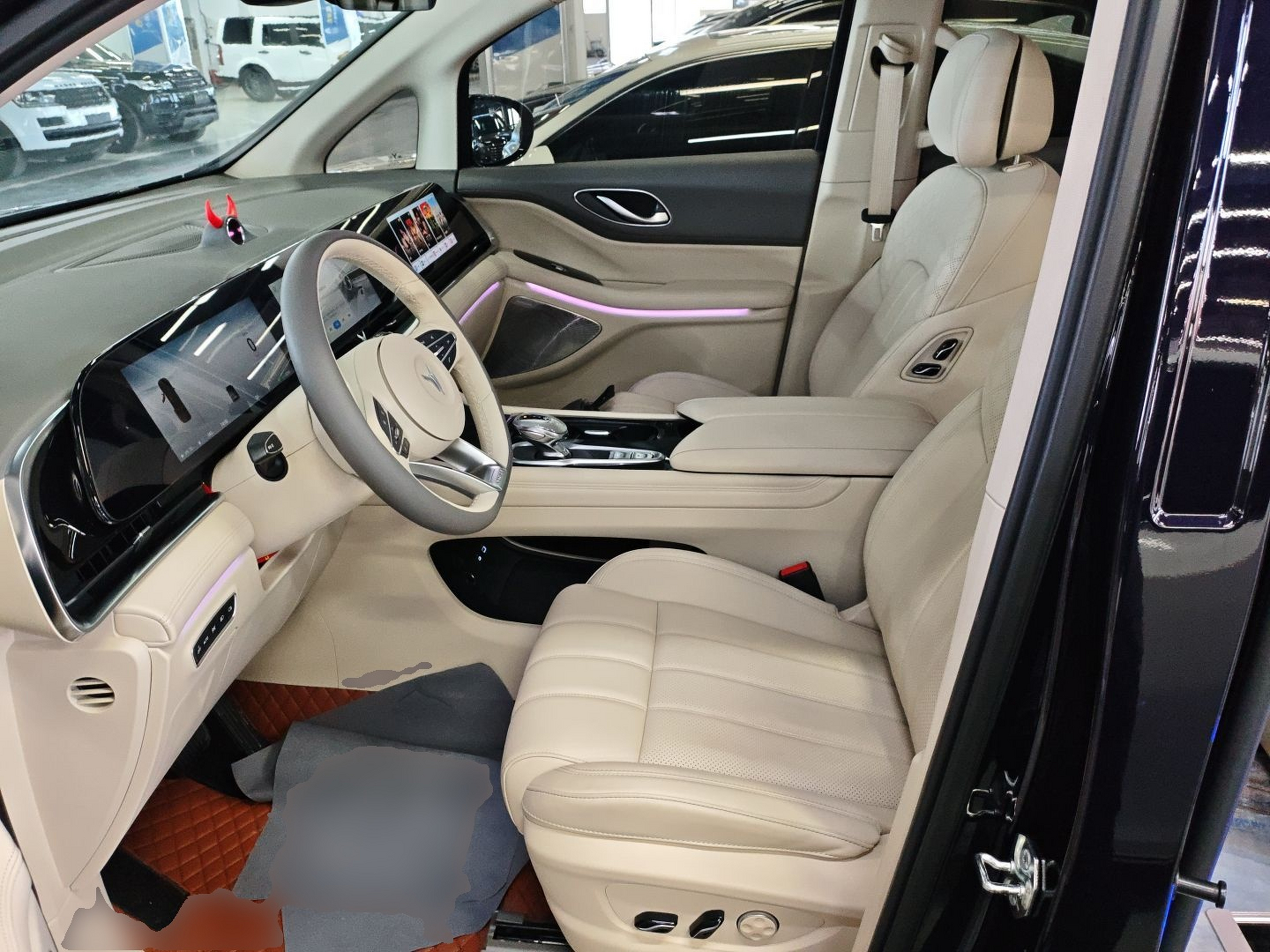 Interior delantero