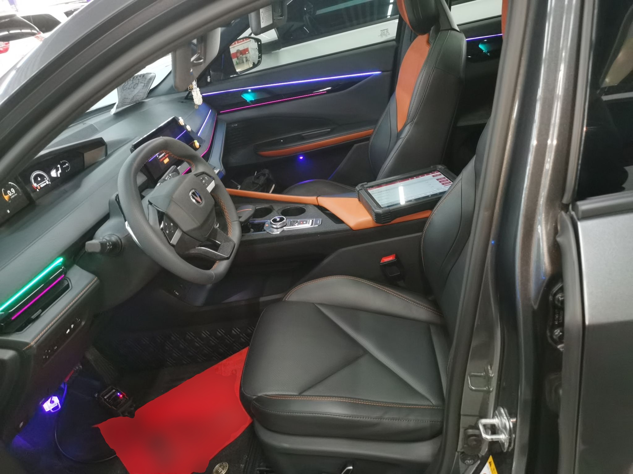 Interior delantero