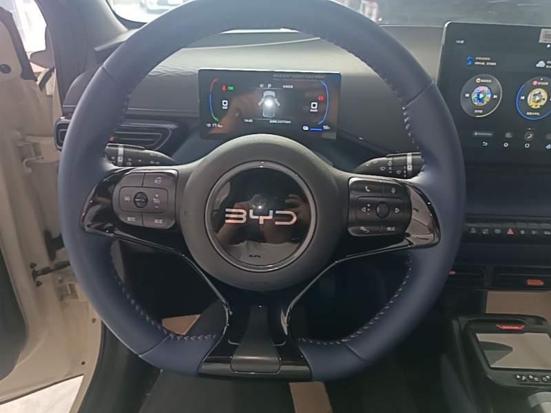 Used BYD Seagull 2024 Honor Edition 305km Freedom Version — 10