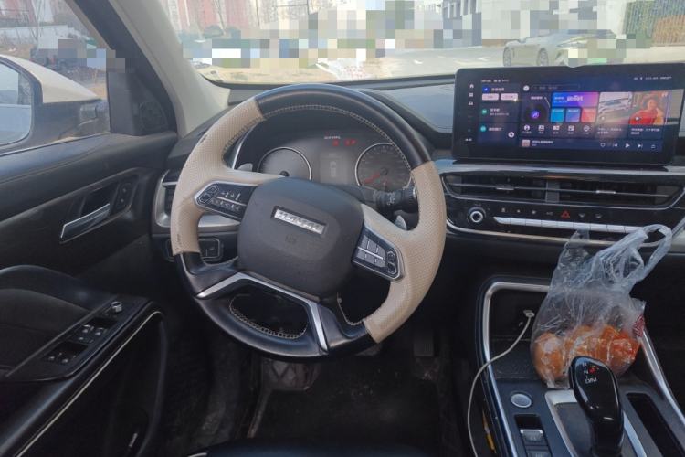 Used Haval H6 2021 National Trend Edition 1.5T Automatic Urban Version
