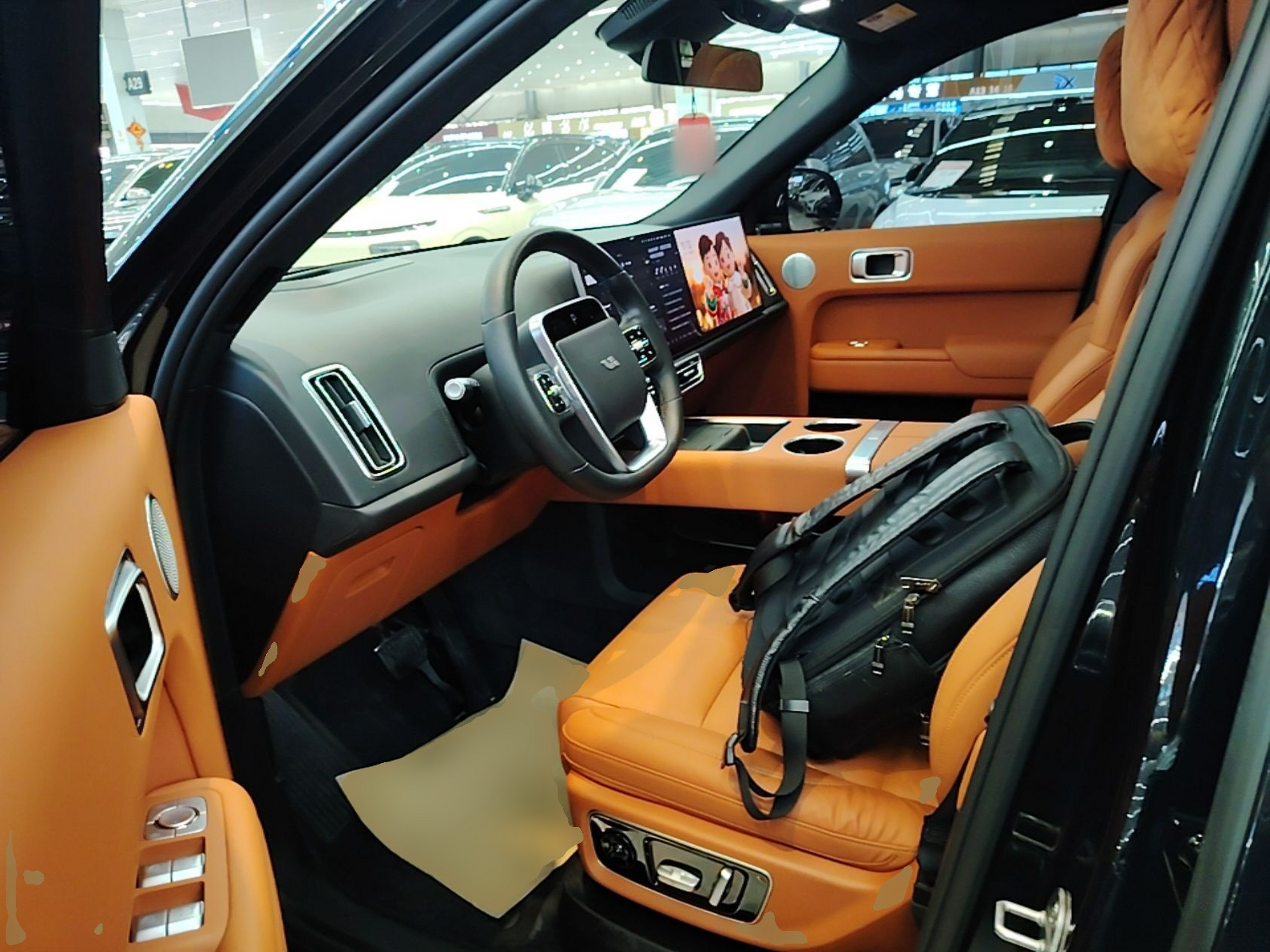 Interior delantero