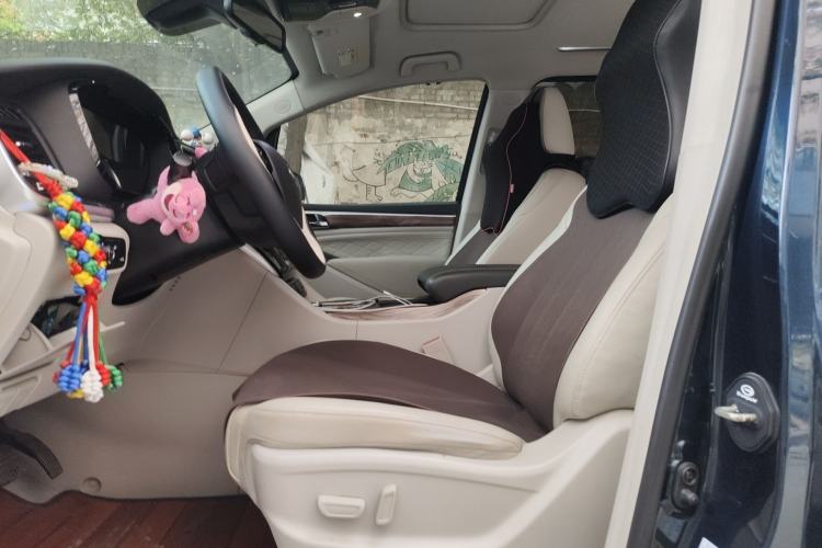 Used GAC Trumpchi M8 2018 320T Luxury Edition
