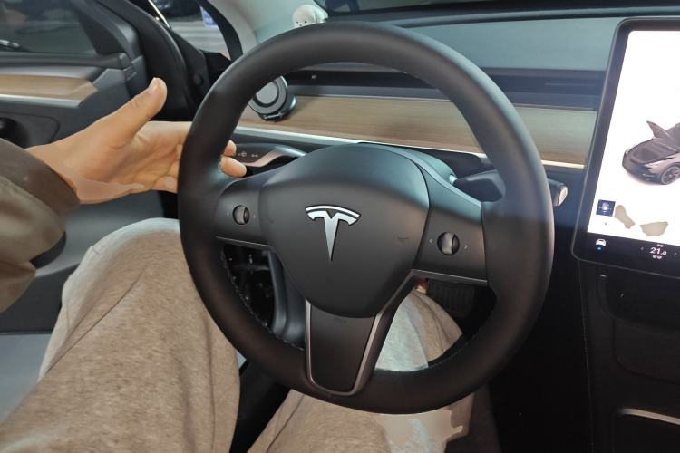 Used Tesla Model Y 2022 Long-Range All-Wheel-Drive Version
