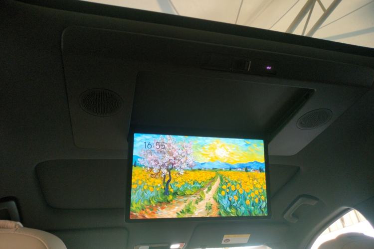 Used Li Auto L9 2024 Ultra Model Headliner