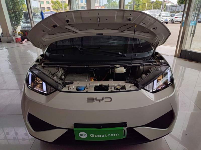 Used BYD Seagull 2025 Intelligent Driving Version 305 km Dynamic Edition — 19