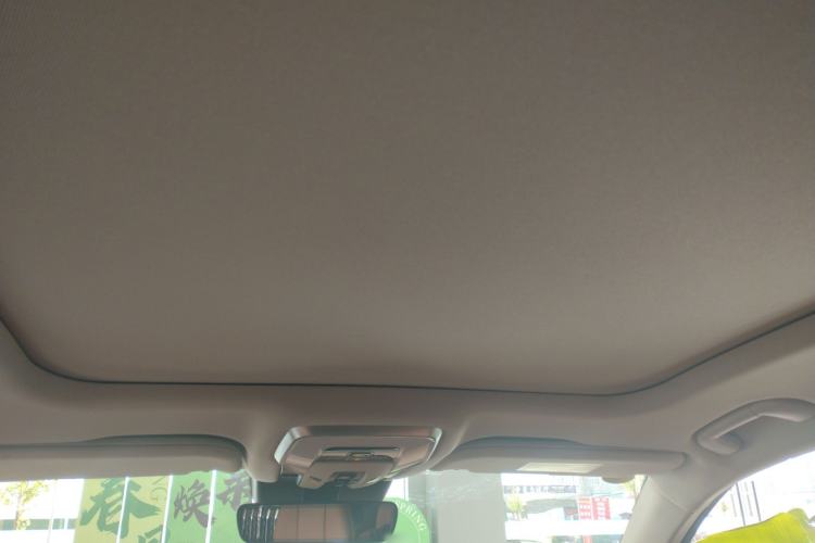 Used Hongqi H9 2024 2.0T Qixiang Private Style Edition Headliner