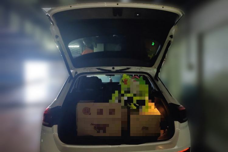 Used Volkswagen T-ROC 2021 280TSI DSG Two-Wheel Drive Comfort Connect Edition Trunk