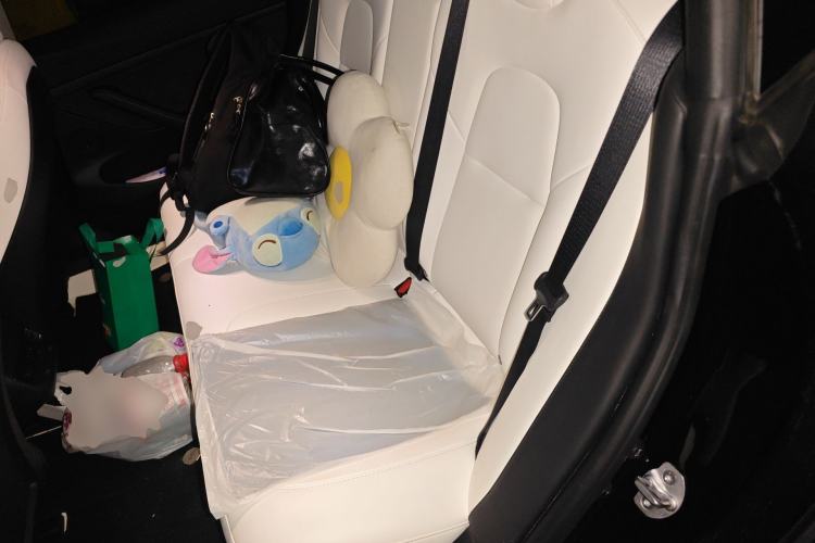 Used Tesla Model 3 2022 Rear-Wheel-Drive Version