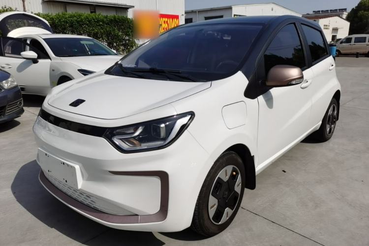 Used SOL E10X 2022 Flower Fairy Design Dandelion