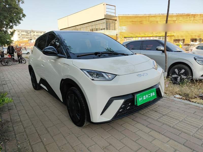 Used BYD Seagull 2025 305km Active Version — 3