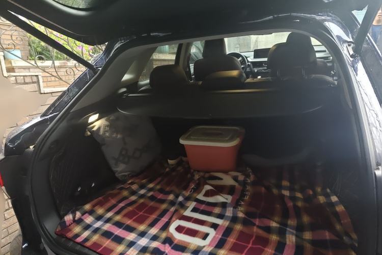 Used Lexus RX 2020 Revised Version 300 Two-Wheel Drive Elite Edition Trunk