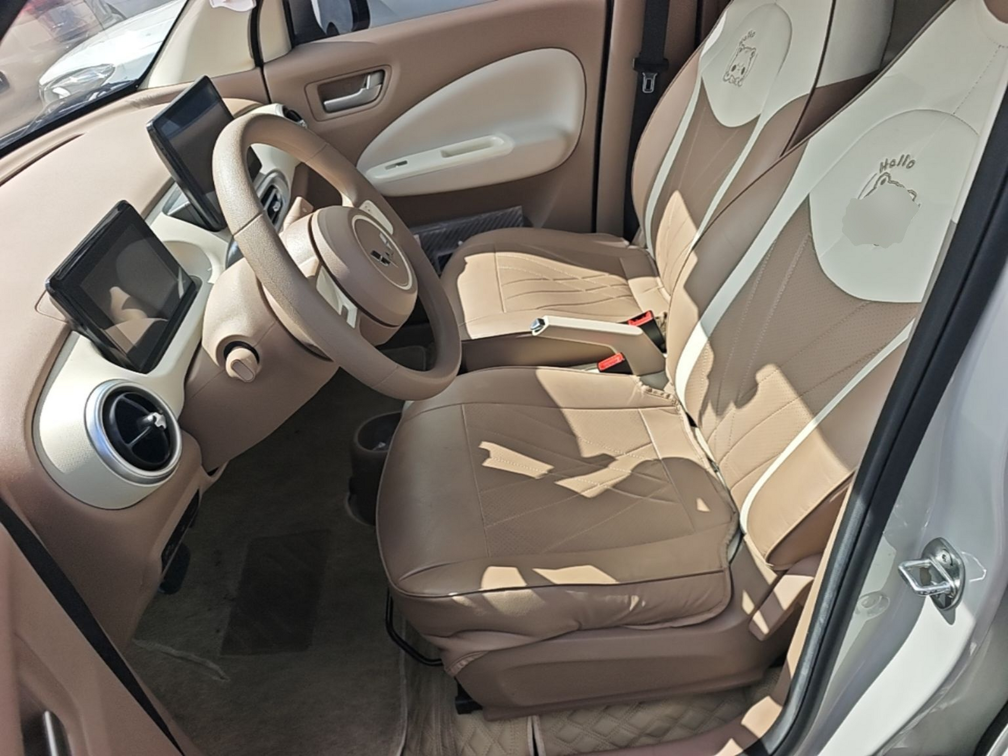 Interior delantero