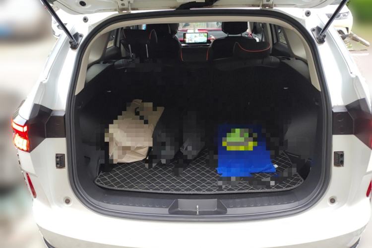 Used Haval H6 2021 3rd Generation 2.0T Automatic Two-Wheel Drive Max Trunk