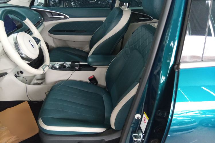 Used ORA Good Cat 2022 Morandi Edition 400km Standard Range Premium Version Lithium Iron Phosphate