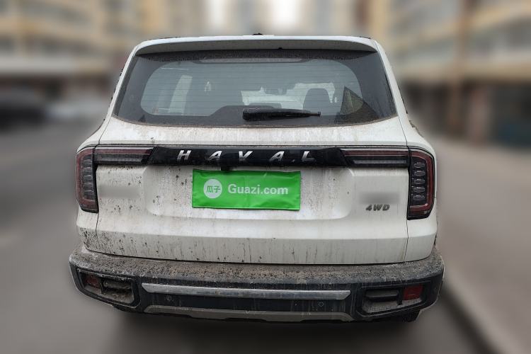 Used Haval DARGO 2022 2.0T DCT 4x4 Chinese Rural Dog Edition
