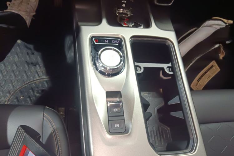 Used Haval DARGO 2024 2.0T DCT Chinese Rural Dog Edition
