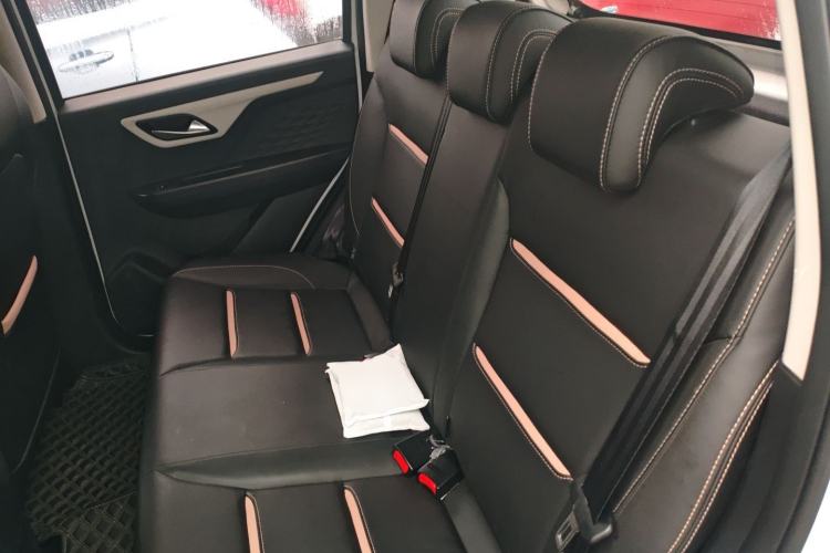 Used SOL E10X 2022 Flower Fairy Design Four-Leaf Clover Interior 4