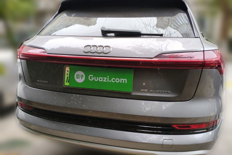 Used Audi e-tron 2019 55 quattro Technology Edition
