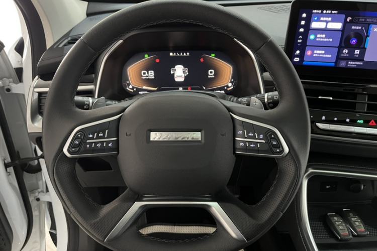 Used Haval H6 2021 National Trend Edition 1.5T Automatic Champion Version