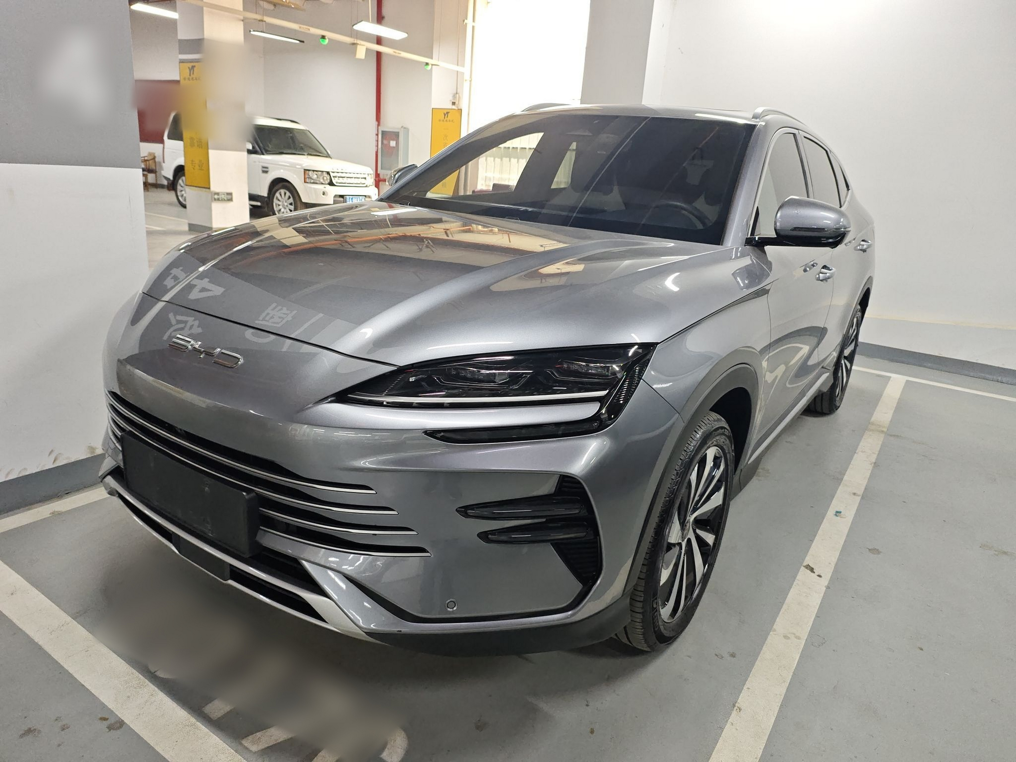 Parte inferior delantera