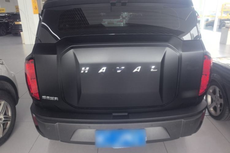 Used Haval X DOG 2022 1.5T DCT Two-Wheel Drive Trendy Edition Rear