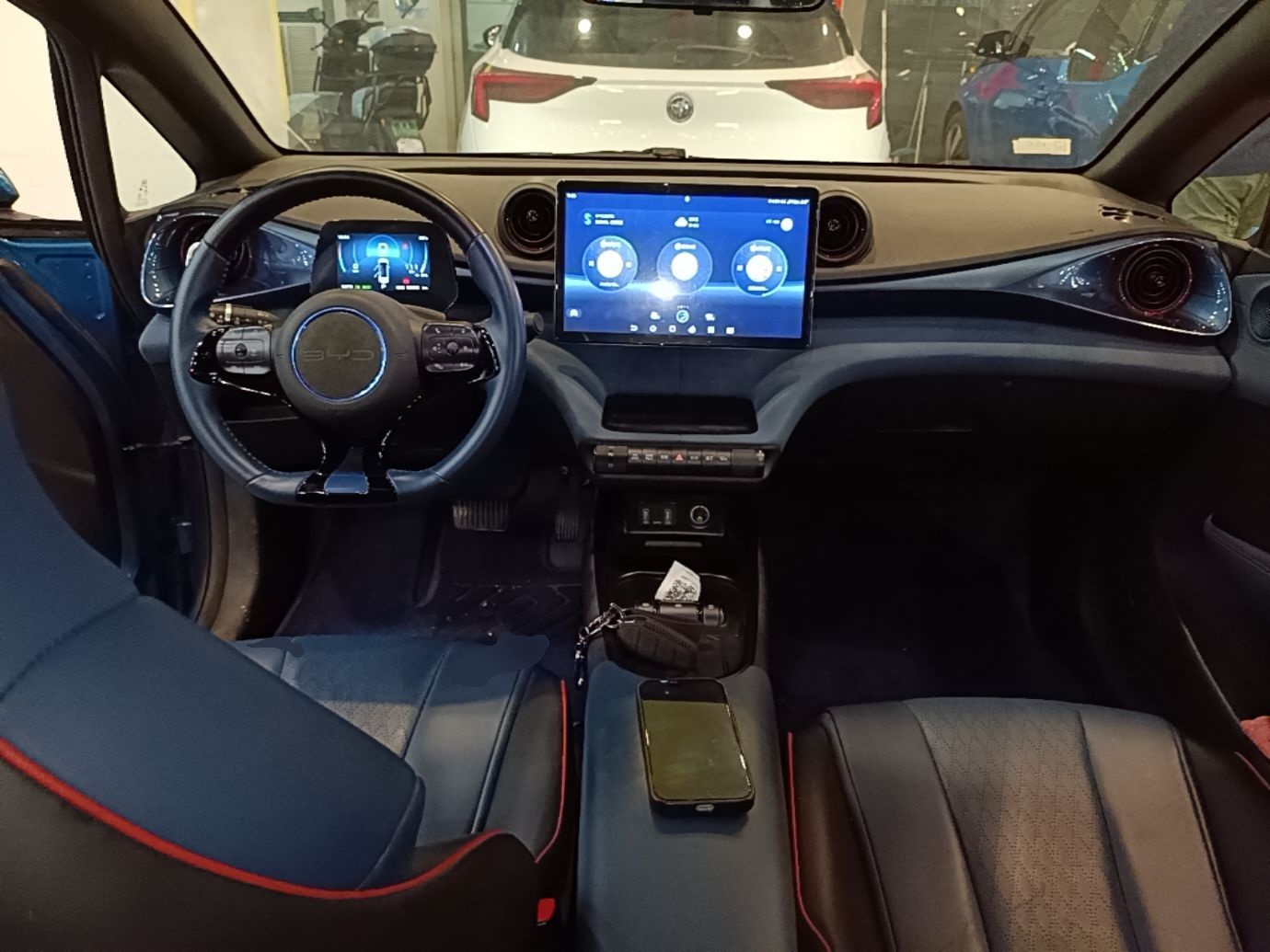 BYD Dolphin 2021 401km Knight Edition — снимка 12