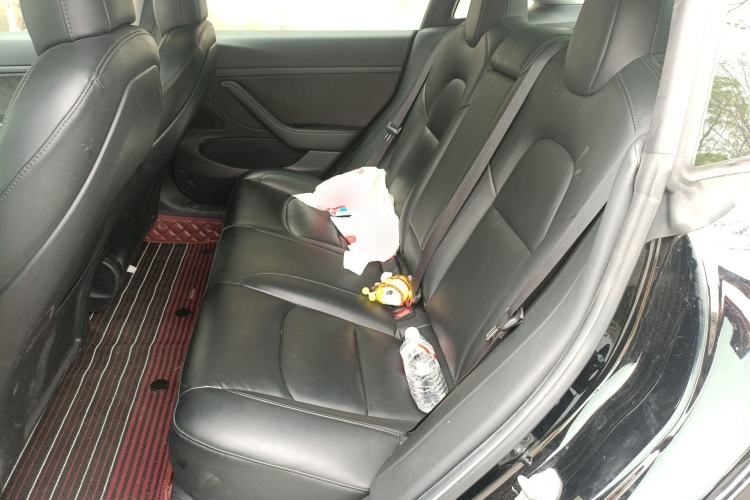 Used Tesla Model 3 2020 Refreshed Version Long-Range Rear-Wheel Drive Left Rear Seat