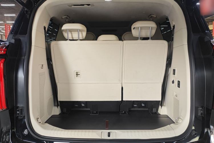 Used Wey Gaoshan 2025 Four-Wheel Drive Alpine 8 Trunk