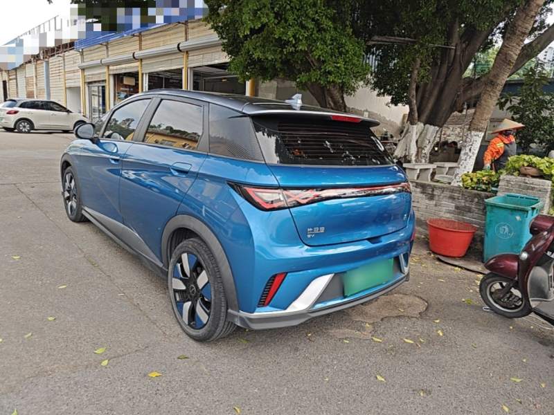 Used BYD Dolphin 2021 401km Knight Edition — 4