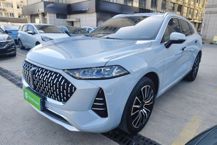 Used Wey Mocha 2021 2.0T Four-Wheel Drive Premium Edition