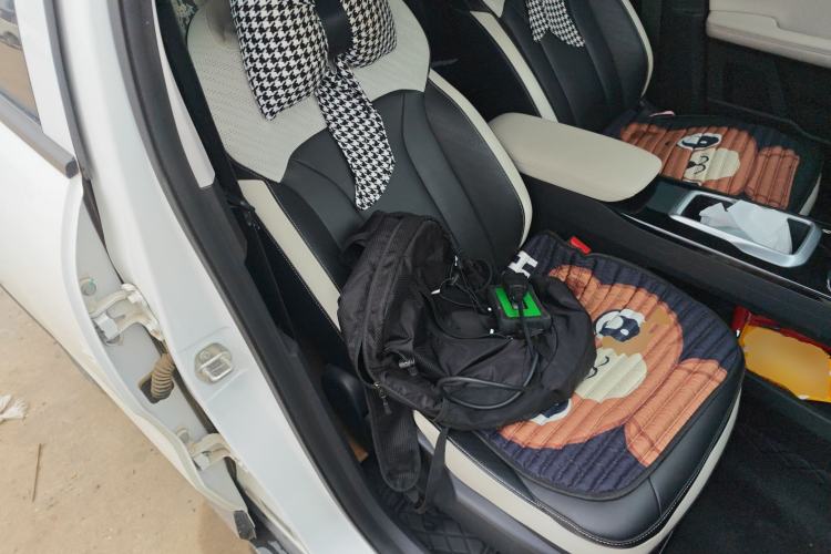 Used Geometry E Firefly 2023 401KM Linglong Tiger 5-Seater Right Front Seat