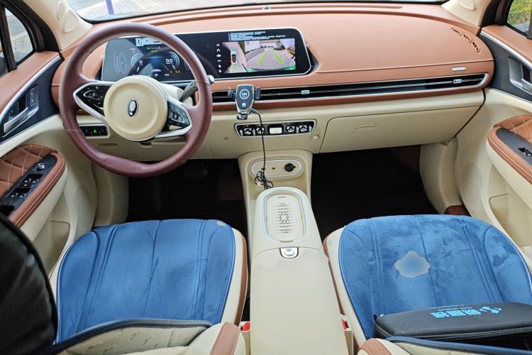 Used ORA Good Cat 2024 401 km Luxury Version Center Console