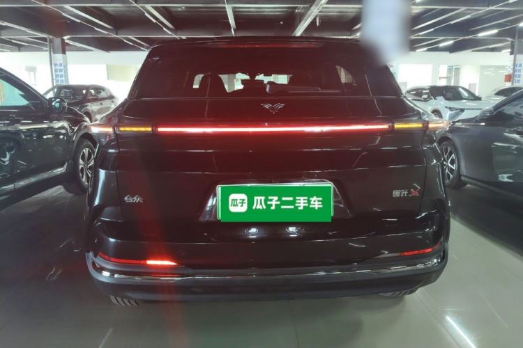 Used NETA X 2024 500 First Edition
