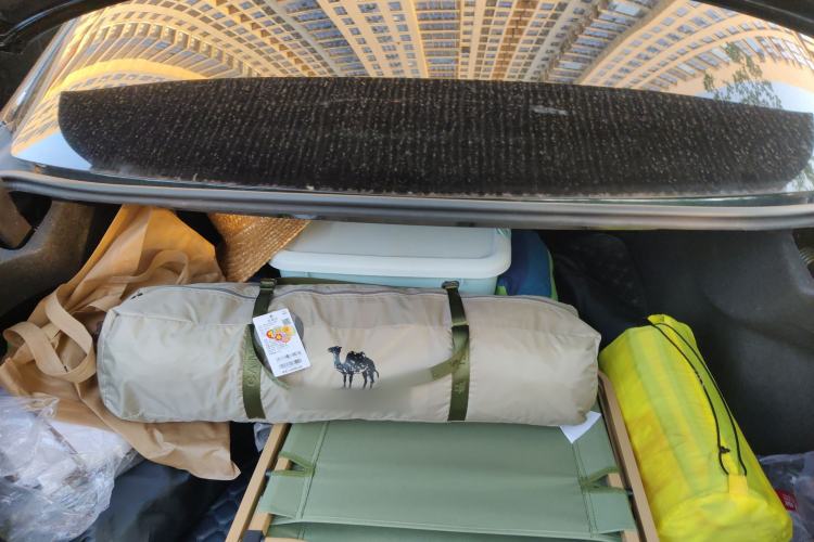 Used Mercedes-Benz C-Class 2019 C 260 L Sport Edition
