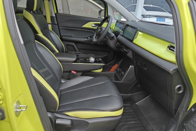 Used Geometry E Firefly 2022 401KM Lightning Tiger 4-Seater Right Front Seat