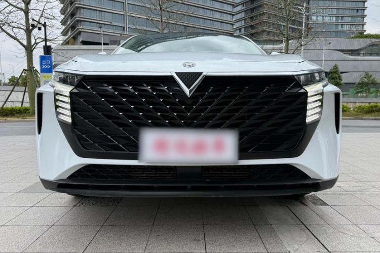 Used Venucia V 2021 260T Idol Edition